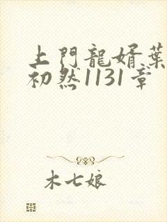 上门龙婿叶辰萧初然1131章