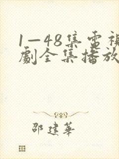 1—48集电视剧全集播放封面