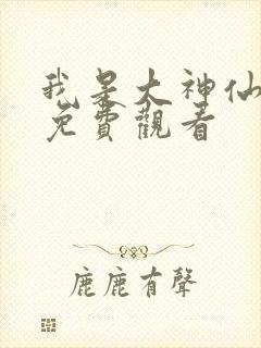 我是大神仙动漫免费观看