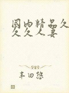 国内精品久久久久久人妻