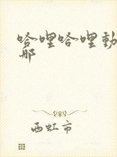 哈哩哈哩动漫在哪