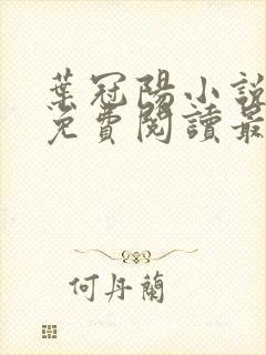 叶冠阳小说全文免费阅读最新章节