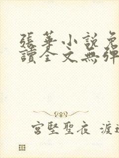 张华小说免费阅读全文无弹窗