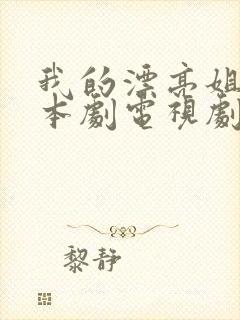 我的漂亮姐姐日本剧电视剧封面