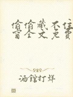 偷偷藏不住无弹窗全文免费阅读