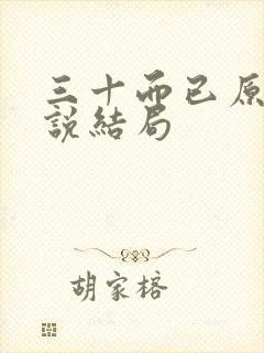 三十而已原著小说结局封面