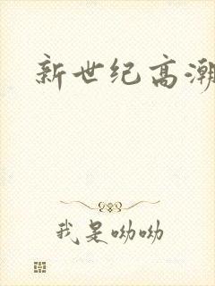 新世纪高潮战队