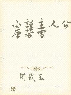 小说主人公叶凡唐若雪