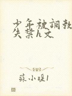 少年被调教爽到失禁h文封面