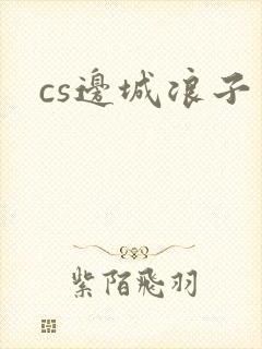 cs边城浪子