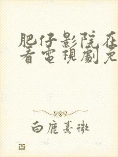 肥仔影院在线观看电视剧免费播放