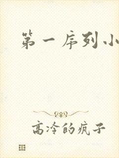 第一序列小说封面