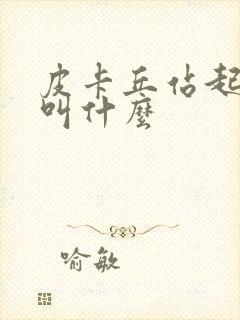 皮卡丘站起来了叫什么