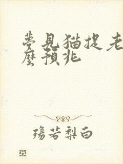 梦见猫捉老鼠什么预兆封面