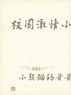 校园激情小说封面