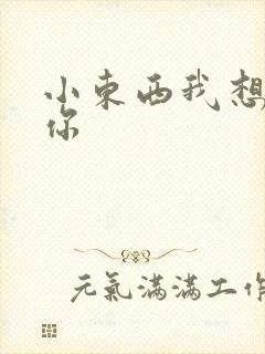 小东西我想弄坏你