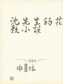 沈先生的花式管教小说