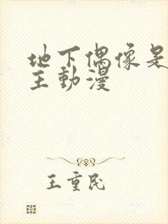 地下偶像是双男主动漫