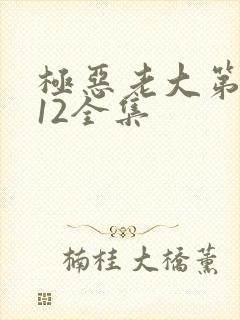 极恶老大第二季12全集封面