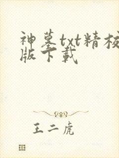 神墓txt精校版下载