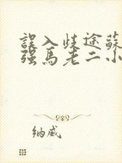 误入歧途苏玥马强马老二小说封面