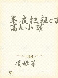 半夜把亲c高潮高h小说