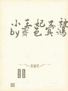小王妃又被揍啦by霁色冥鸿封面