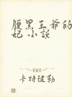 腹黑王爷的呆萌妃 小说