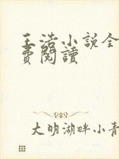 王浩小说全文免费阅读