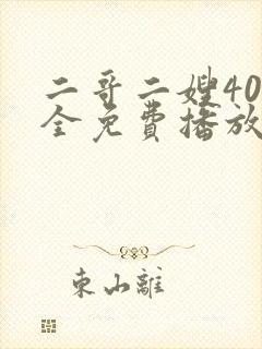 二哥二嫂40集全免费播放在线观看封面