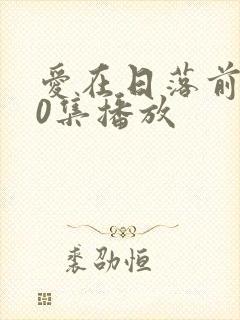 爱在日落前100集播放