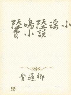 陆鸣陆瑶小说免费小说