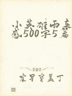 小英雄雨来读后感500字5篇封面