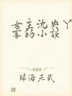 女主沈央丫鬟云雾的小说封面