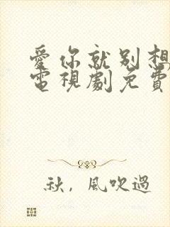 爱你就别想太多电视剧免费播放