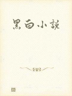黑白小说