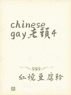 chinesegay老头4封面