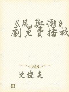 《风与潮》电视剧免费播放