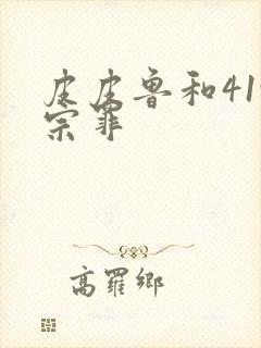 皮皮鲁和419宗罪封面