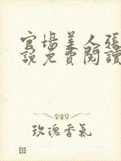 官场美人张梅小说免费阅读最新章节