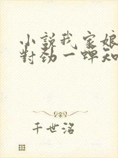 小说我家娘子不对劲一蝉知夏全文在线阅读