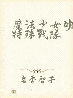 魔法少女明日香特殊战队