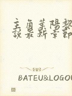 主角叶阳黎洁小说最新章节更新封面