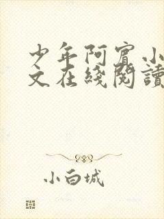 少年阿宾小说全文在线阅读