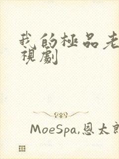 我的极品老妈电视剧