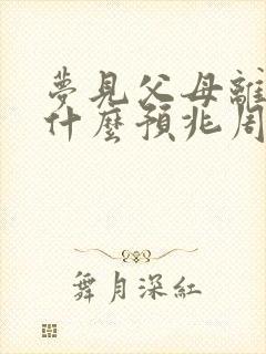 梦见父母离婚是什么预兆周公解梦