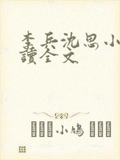 李兵沈思小说阅读全文封面