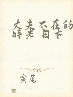 丈夫不在的午后时光 日本封面