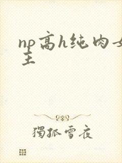 np高h纯肉女主
