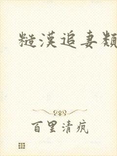 糙汉追妻类古言封面